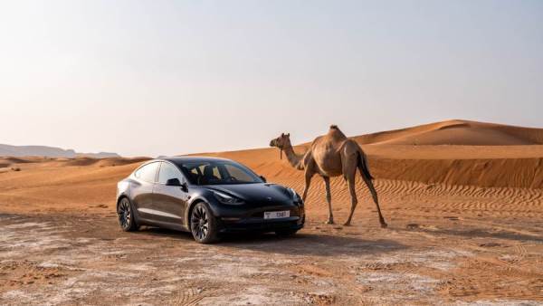 السيارات الكهربائية في الشرق الأوسط