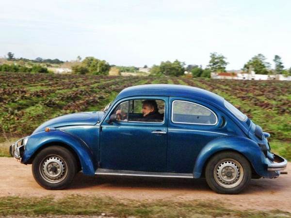 vw-pepe