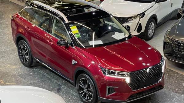 فينوشيا ستار