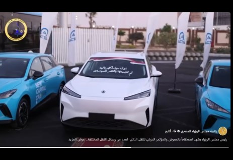 دونجفينج Mage