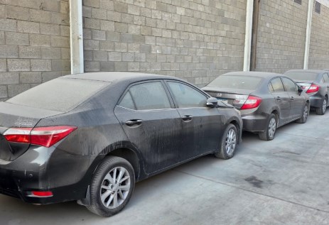 مزاد أحد البنوك بمصر