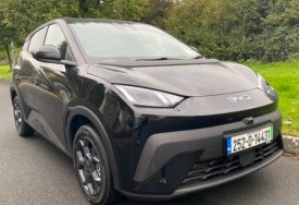 دولفين سيرف