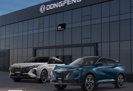 دونجفينج Mage وShine