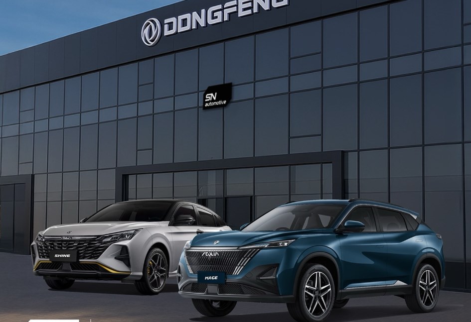 دونجفينج Mage وShine