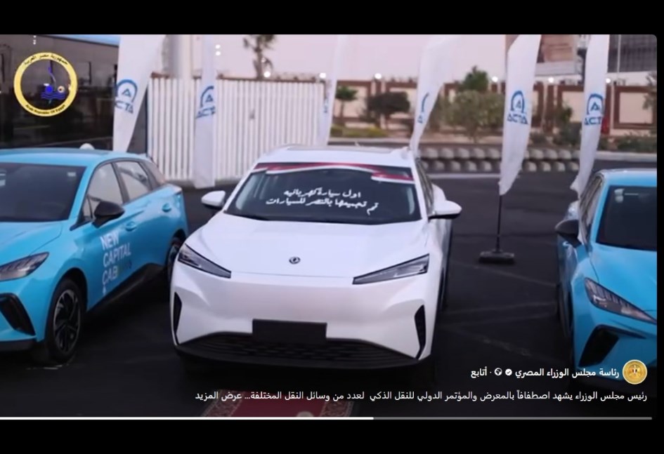 دونجفينج Mage