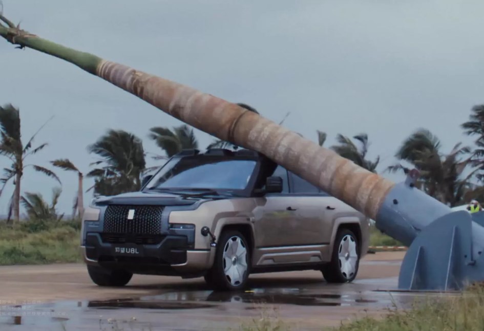 يانج وانج تسقط عليها نخلة في تجربة جديدة