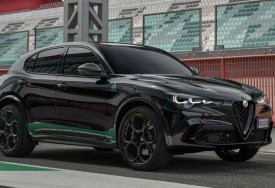 ألفاروميو ستلفيو