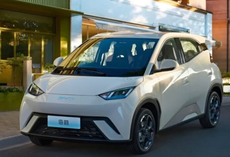 بي واي دي Seagull