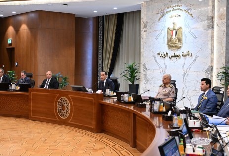 مجلس الوزراء