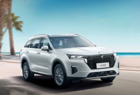 فينوشيا ستار