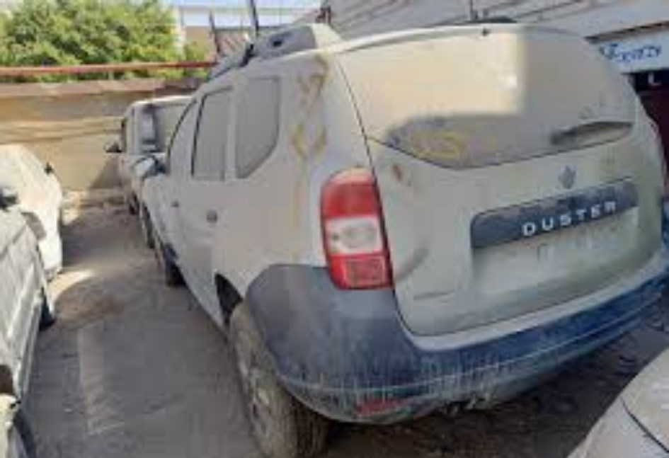 رينو في مزاد