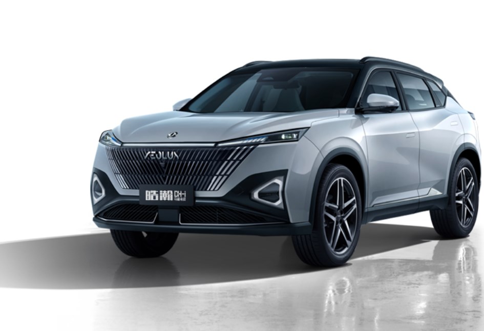 دونجفينج Mage 