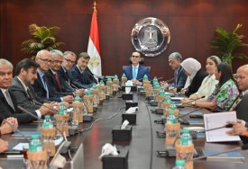 وزير الاستثمار والتجارة الخارجية يبحث مع عدد من الشركات العالمية فرص جذب المزيد من الاستثمارات في قطاع السيارات والصناعات المغذية