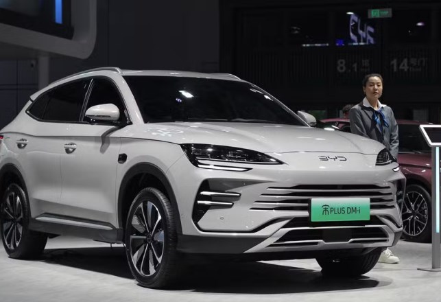 بقاء الرسوم الاروربية على الهايبريد