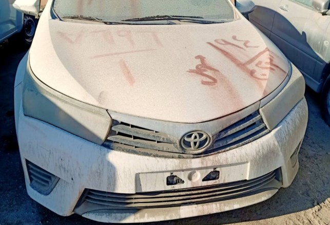 مزاد جمرك السويس