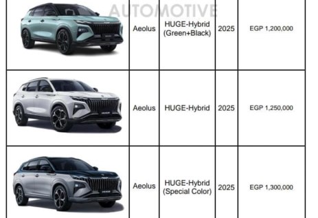 أسعار هيوج بمصر