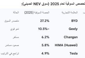 حصص الـNEVs في الصين في 2025