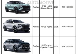 أسعار هيوج بمصر