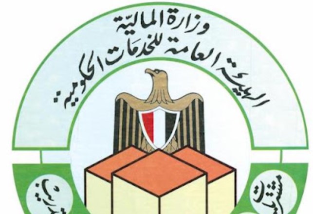 الهيئة العامة للخدمات الحكومية