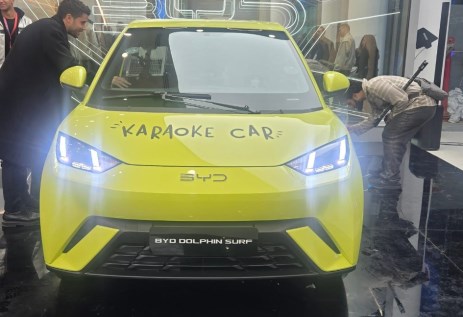 دولفين سيرف 