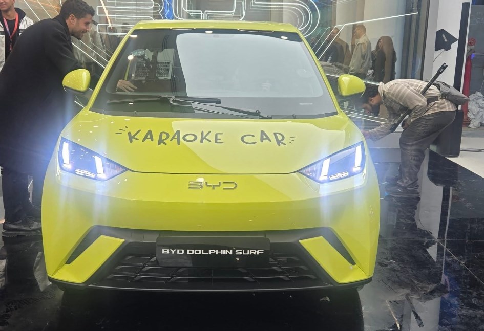 دولفين سيرف 