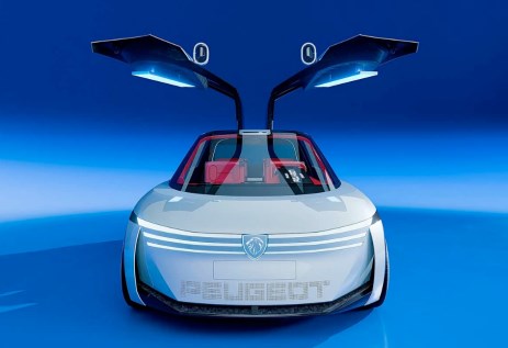 دونجفنج بيجو بوليجون