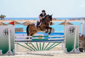 بطولة كأس مصر للفروسية 