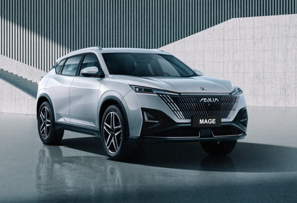 دونج فينج ميج