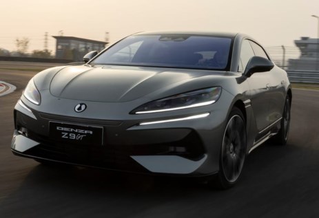 دينزا Z9gt