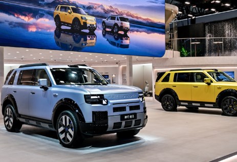Freelander 8