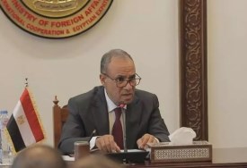 وزير الخارجية المصري